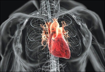 Заболевание сердца