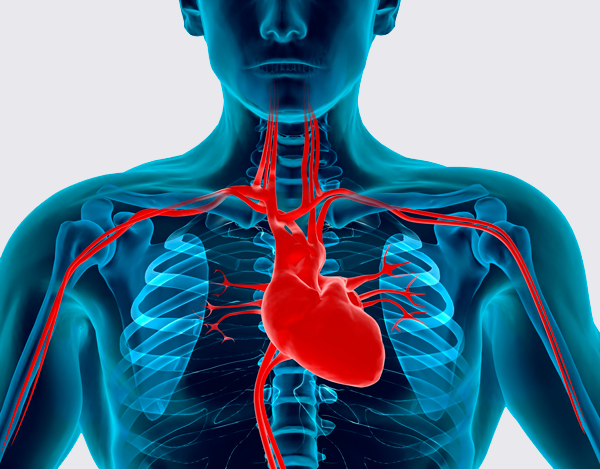 Болезнь сердца, как причина гипотонии