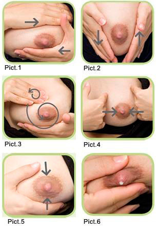 Как правильно делать массаж груди при лактостазе